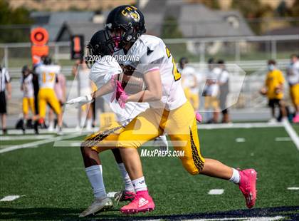 Thumbnail 1 in Cottonwood @ Timpanogos photogallery.