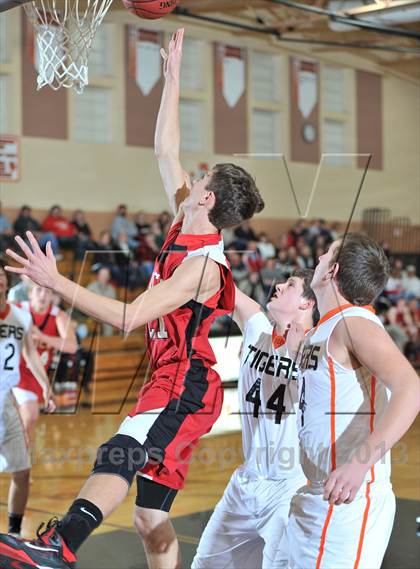 Thumbnail 3 in Webster vs. Luck photogallery.