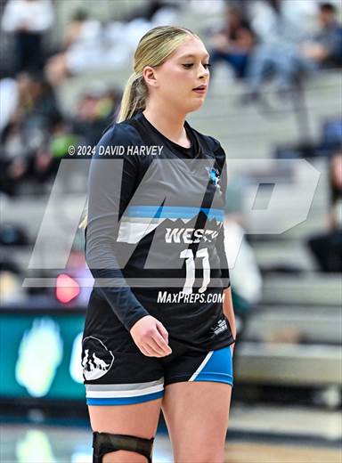 null - Photo 71