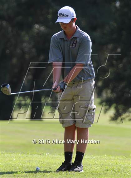 Thumbnail 3 in Hernando vs Springstead photogallery.