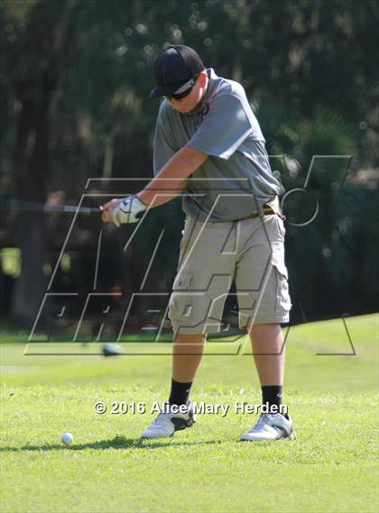 Thumbnail 1 in Hernando vs Springstead photogallery.
