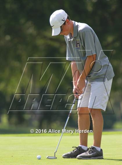 Thumbnail 2 in Hernando vs Springstead photogallery.
