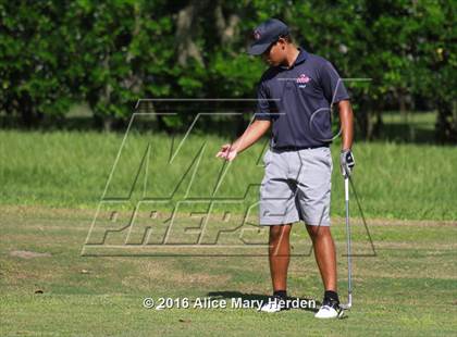 Thumbnail 3 in Hernando vs Springstead photogallery.
