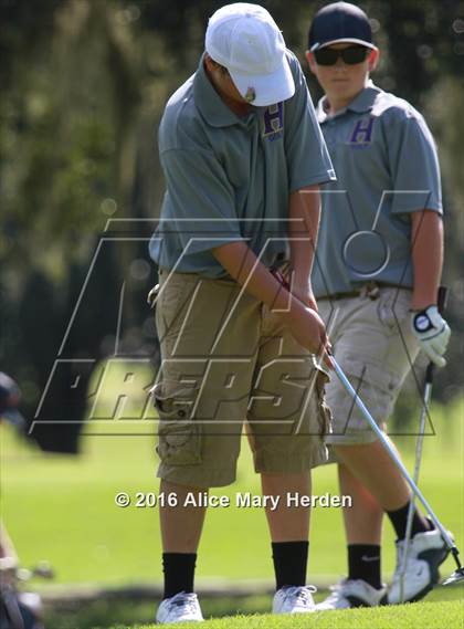 Thumbnail 1 in Hernando vs Springstead photogallery.
