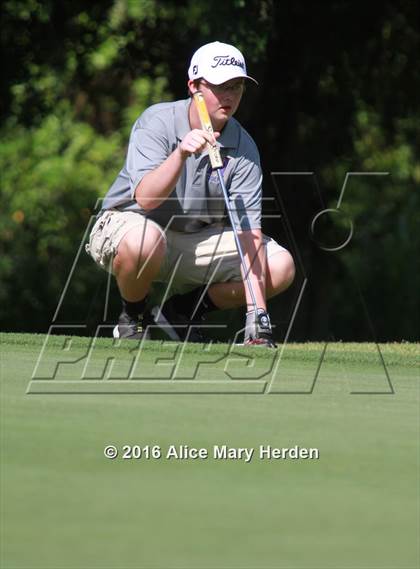 Thumbnail 2 in Hernando vs Springstead photogallery.