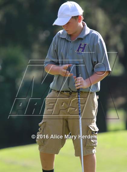 Thumbnail 1 in Hernando vs Springstead photogallery.