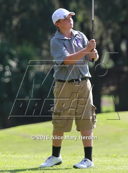 Thumbnail 1 in Hernando vs Springstead photogallery.