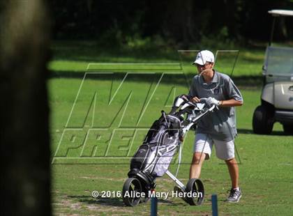 Thumbnail 2 in Hernando vs Springstead photogallery.