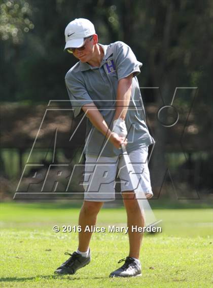 Thumbnail 3 in Hernando vs Springstead photogallery.