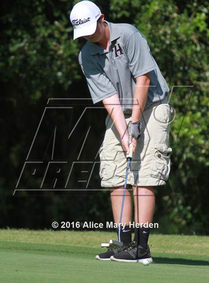 Thumbnail 2 in Hernando vs Springstead photogallery.