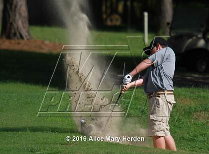 Thumbnail 2 in Hernando vs Springstead photogallery.