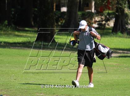 Thumbnail 1 in Hernando vs Springstead photogallery.