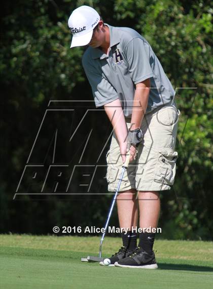 Thumbnail 1 in Hernando vs Springstead photogallery.