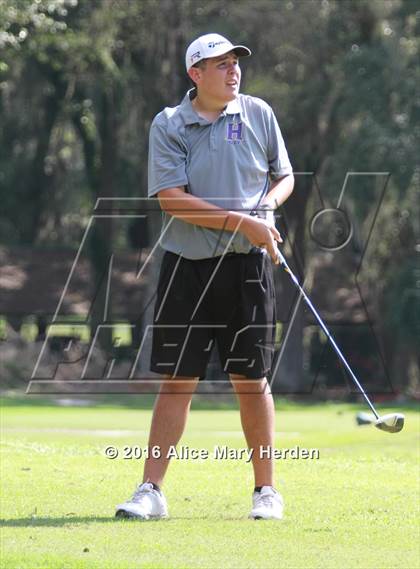 Thumbnail 3 in Hernando vs Springstead photogallery.