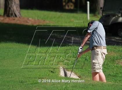 Thumbnail 3 in Hernando vs Springstead photogallery.