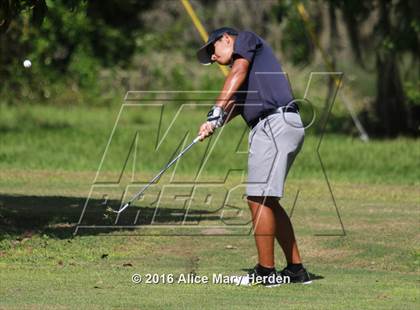 Thumbnail 1 in Hernando vs Springstead photogallery.