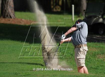 Thumbnail 1 in Hernando vs Springstead photogallery.