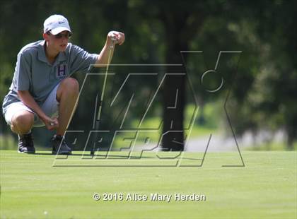Thumbnail 2 in Hernando vs Springstead photogallery.