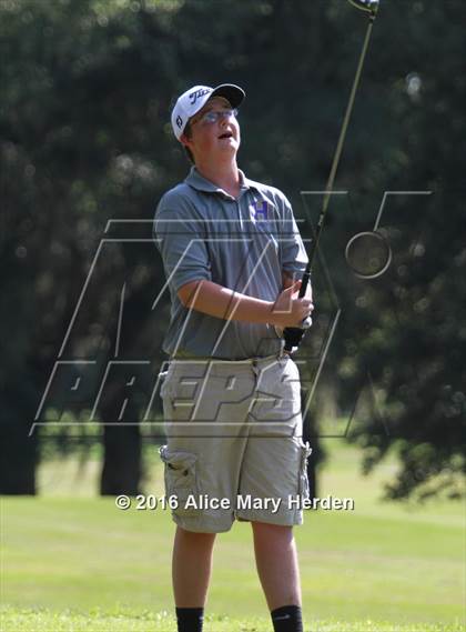 Thumbnail 1 in Hernando vs Springstead photogallery.