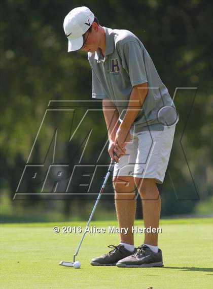 Thumbnail 1 in Hernando vs Springstead photogallery.
