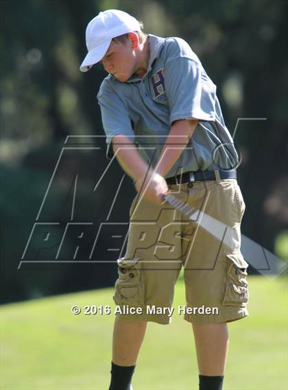 Thumbnail 1 in Hernando vs Springstead photogallery.