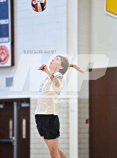 null - Photo 11