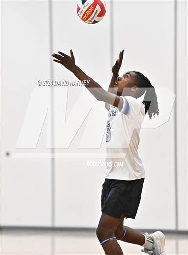 null - Photo 01