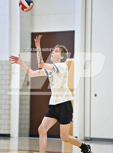null - Photo 31