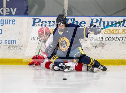 Thumbnail 3 in Bow @ Pinkerton photogallery.