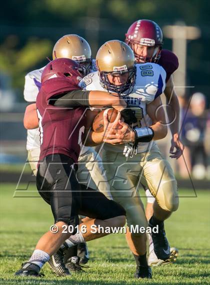 Thumbnail 3 in Schoolcraft @ Watervliet photogallery.