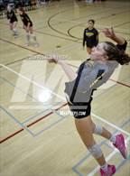 Photo from the gallery "Saguaro @ Desert Mountain"