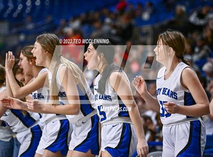 Thumbnail 2 in Norfork vs. Mammoth Spring (AAA 1A State Final) photogallery.