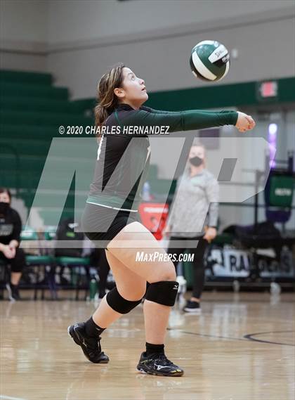 Thumbnail 2 in JV: Porter vs Ellison [C.E.] photogallery.