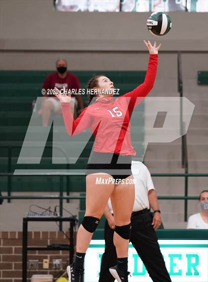 Thumbnail 3 in JV: Porter vs Ellison [C.E.] photogallery.