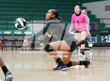 Thumbnail 3 in JV: Porter vs Ellison [C.E.] photogallery.