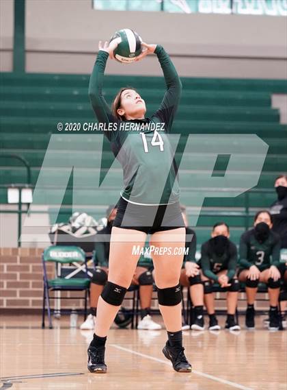 Thumbnail 2 in JV: Porter vs Ellison [C.E.] photogallery.