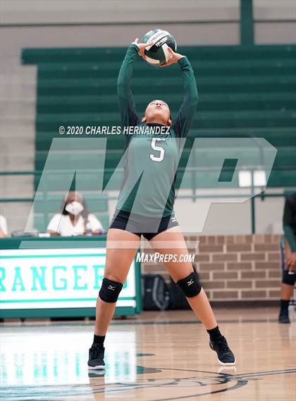 Thumbnail 3 in JV: Porter vs Ellison [C.E.] photogallery.