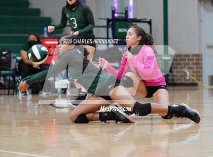 Thumbnail 3 in JV: Porter vs Ellison [C.E.] photogallery.