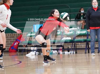 Thumbnail 2 in JV: Porter vs Ellison [C.E.] photogallery.