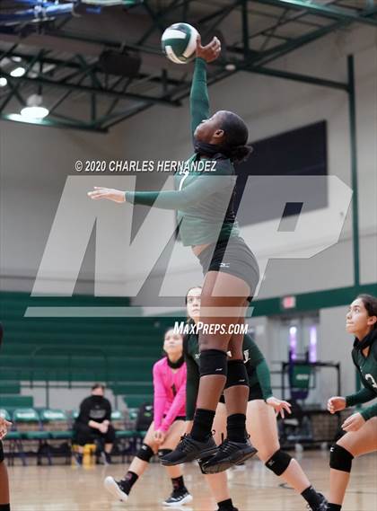 Thumbnail 3 in JV: Porter vs Ellison [C.E.] photogallery.