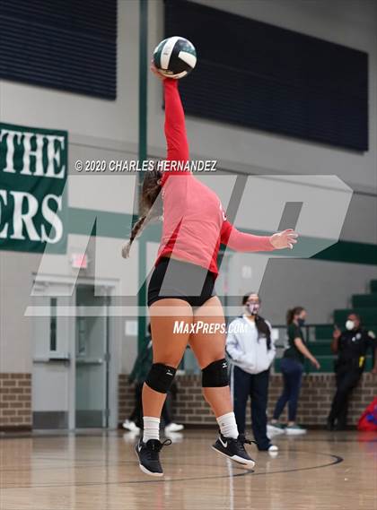 Thumbnail 1 in JV: Porter vs Ellison [C.E.] photogallery.