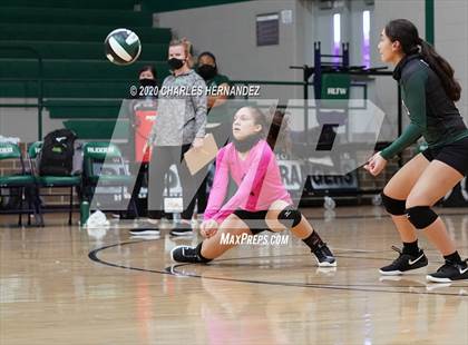 Thumbnail 3 in JV: Porter vs Ellison [C.E.] photogallery.