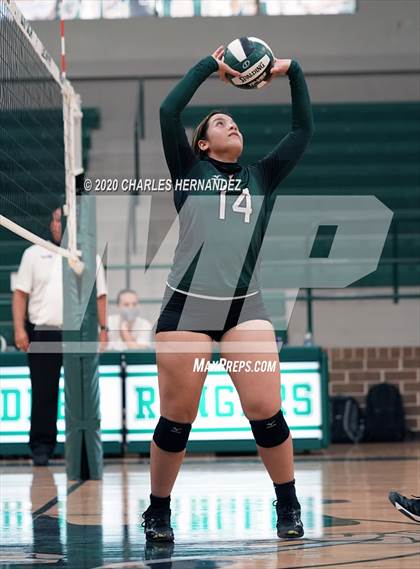 Thumbnail 3 in JV: Porter vs Ellison [C.E.] photogallery.