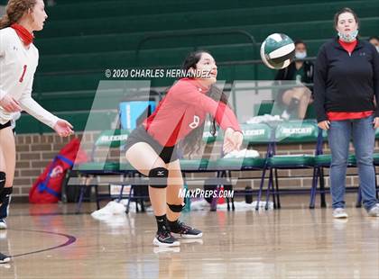 Thumbnail 1 in JV: Porter vs Ellison [C.E.] photogallery.