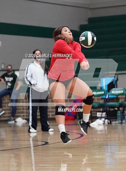 Thumbnail 1 in JV: Porter vs Ellison [C.E.] photogallery.