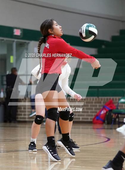 Thumbnail 1 in JV: Porter vs Ellison [C.E.] photogallery.