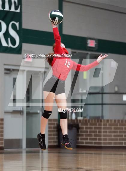 Thumbnail 2 in JV: Porter vs Ellison [C.E.] photogallery.
