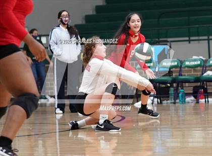 Thumbnail 1 in JV: Porter vs Ellison [C.E.] photogallery.