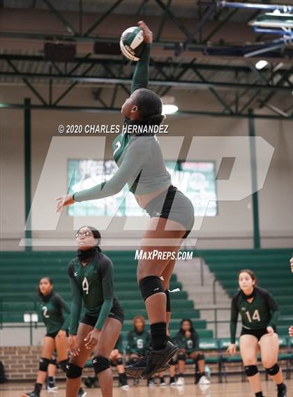 Thumbnail 2 in JV: Porter vs Ellison [C.E.] photogallery.