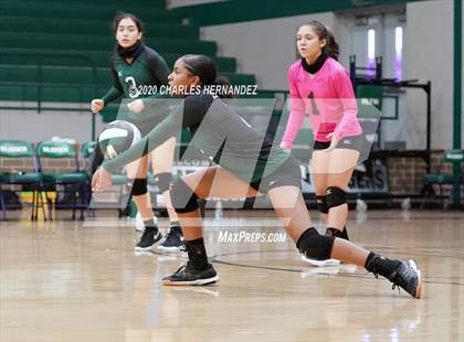 Thumbnail 2 in JV: Porter vs Ellison [C.E.] photogallery.